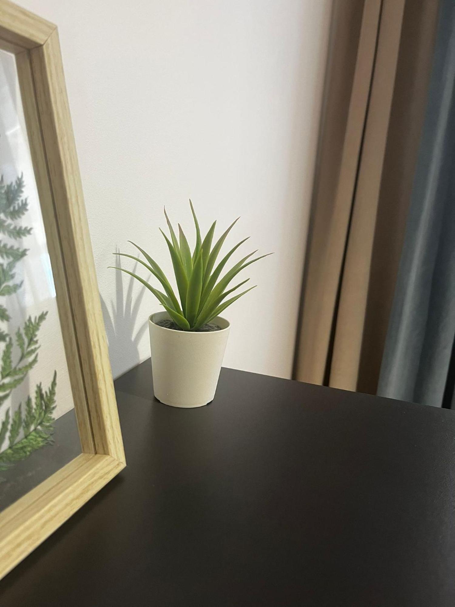 Nicholas Apartment Năvodari Екстериор снимка